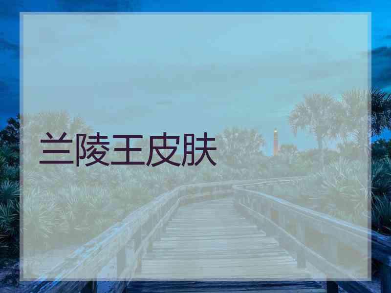 兰陵王皮肤