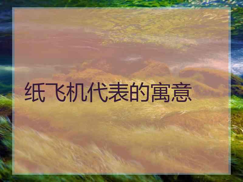 纸飞机代表的寓意