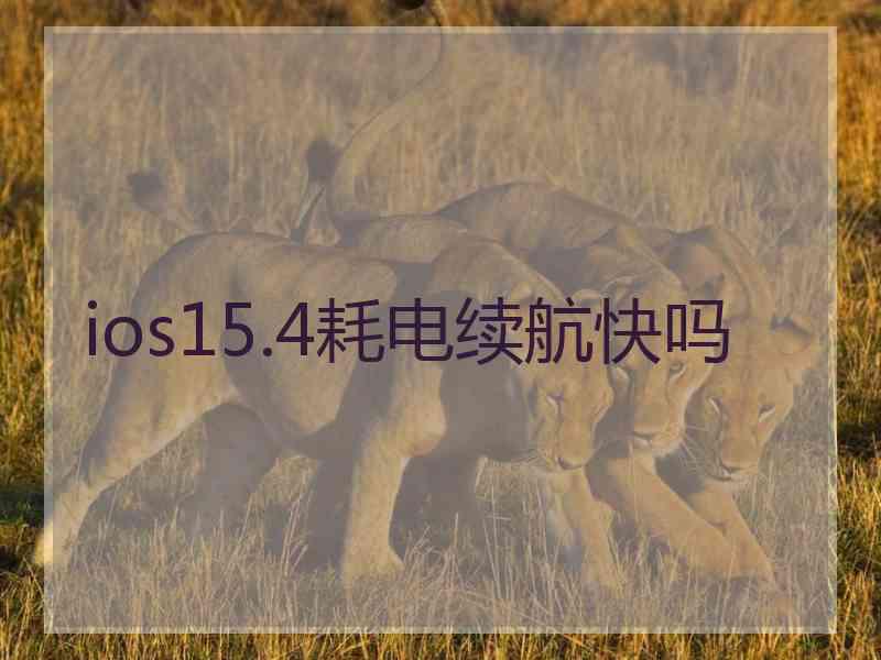 ios15.4耗电续航快吗