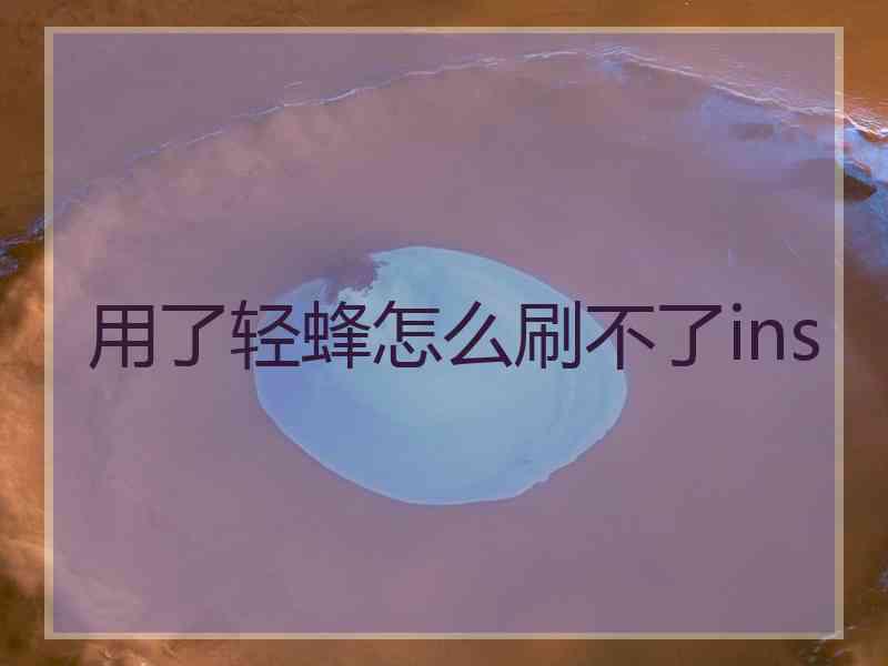用了轻蜂怎么刷不了ins