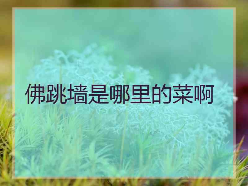 佛跳墙是哪里的菜啊