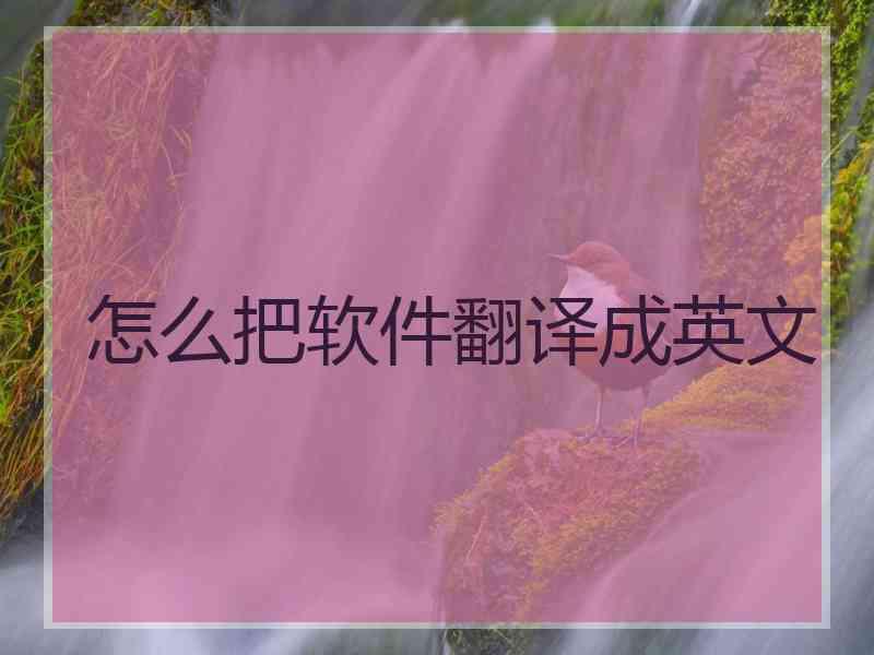 怎么把软件翻译成英文