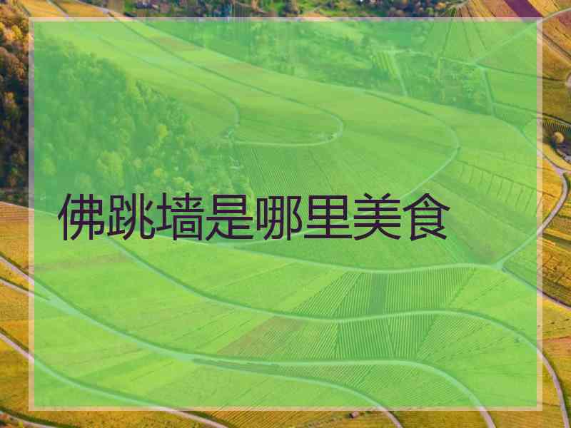 佛跳墙是哪里美食