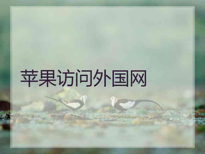 苹果访问外国网