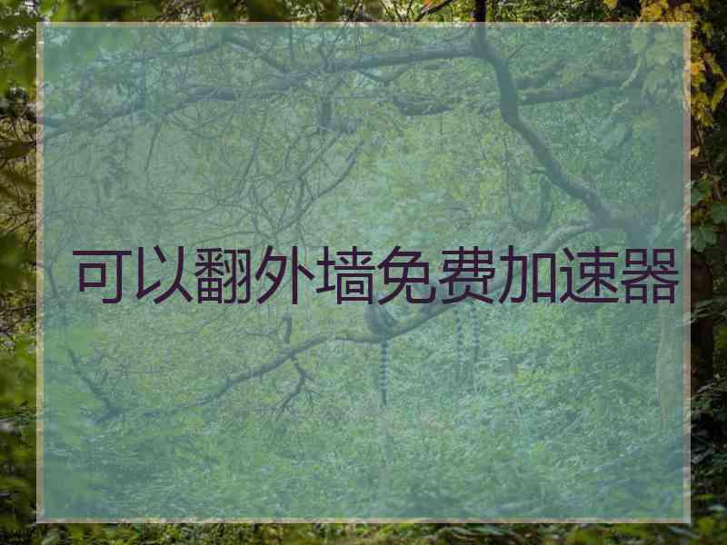 可以翻外墙免费加速器