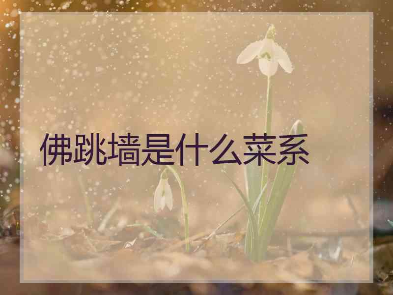 佛跳墙是什么菜系