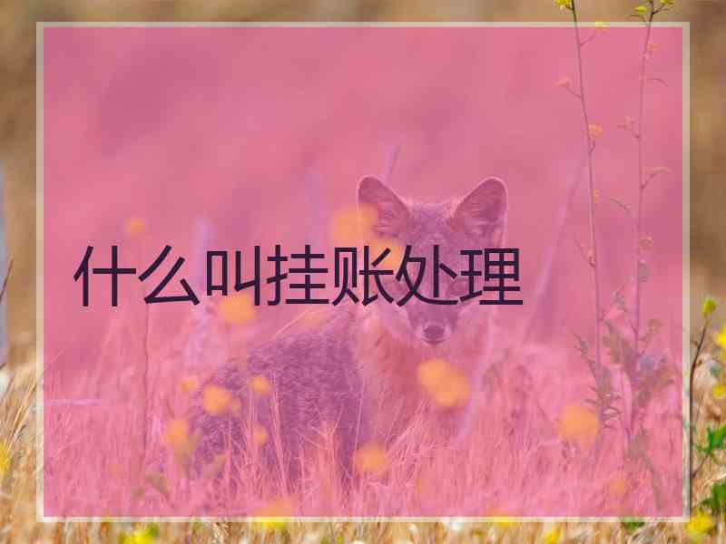 什么叫挂账处理