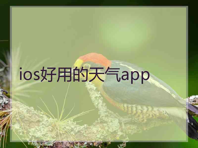 ios好用的天气app