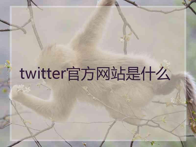 twitter官方网站是什么