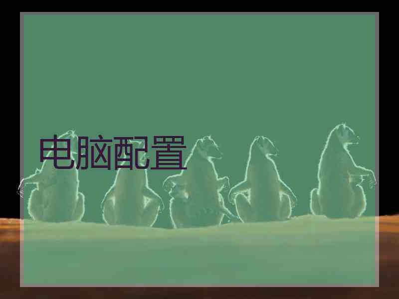 电脑配置
