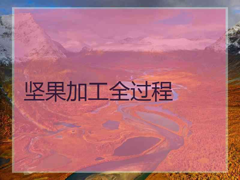 坚果加工全过程