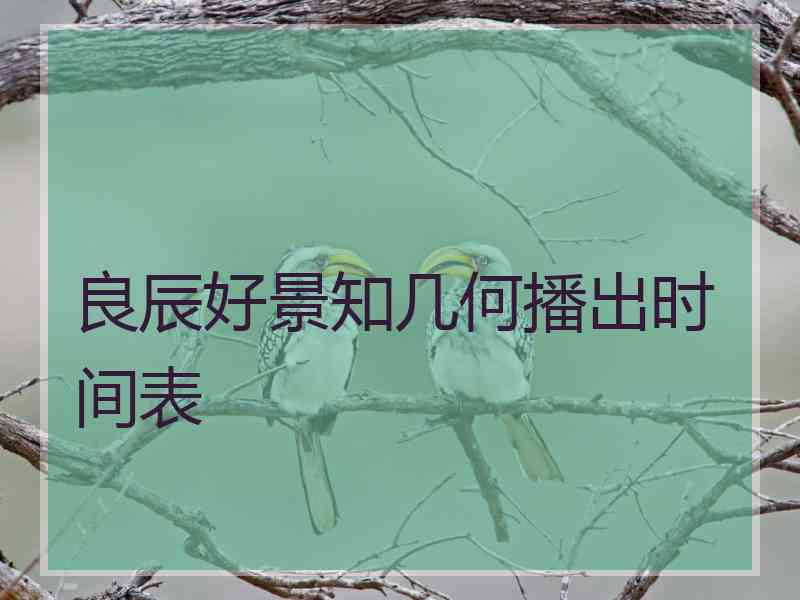良辰好景知几何播出时间表