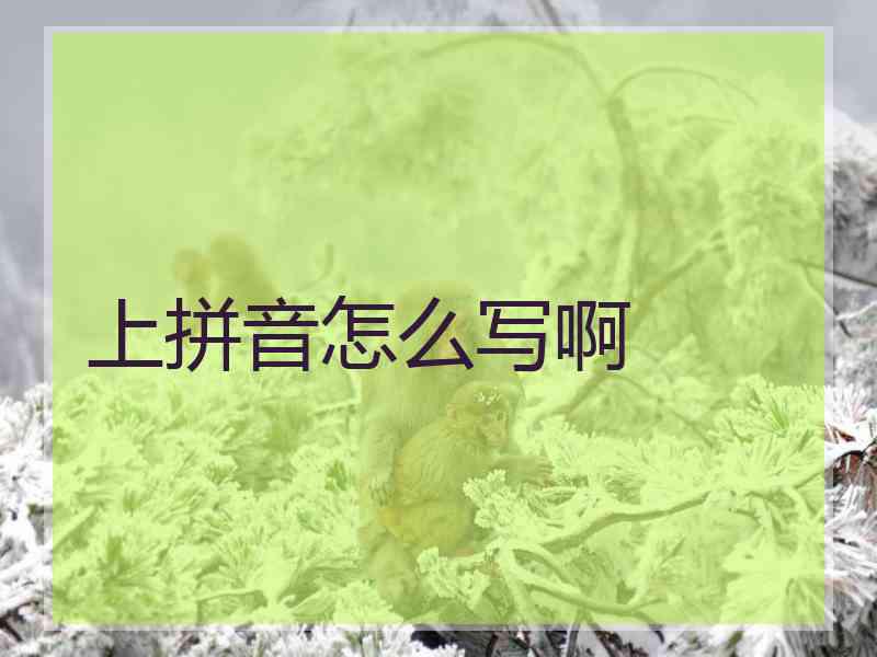 上拼音怎么写啊
