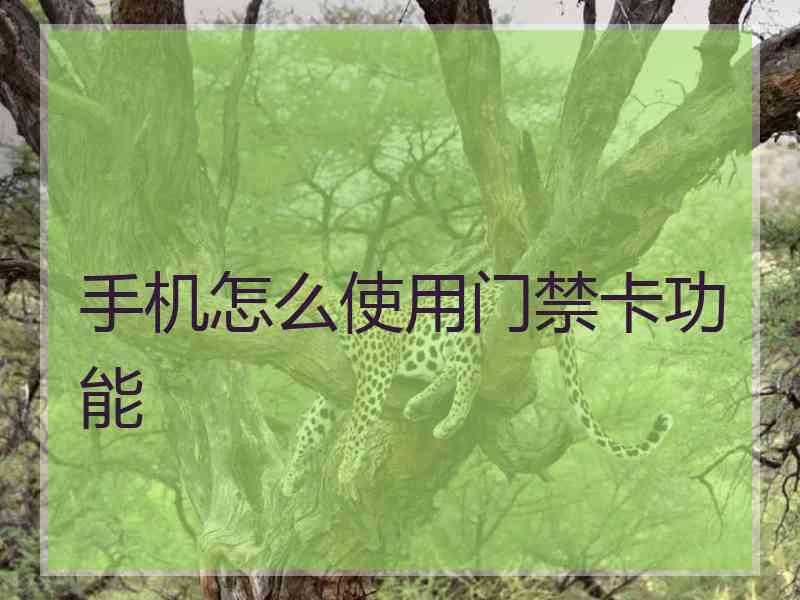 手机怎么使用门禁卡功能