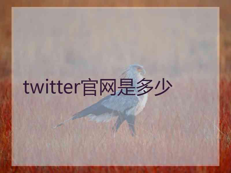 twitter官网是多少