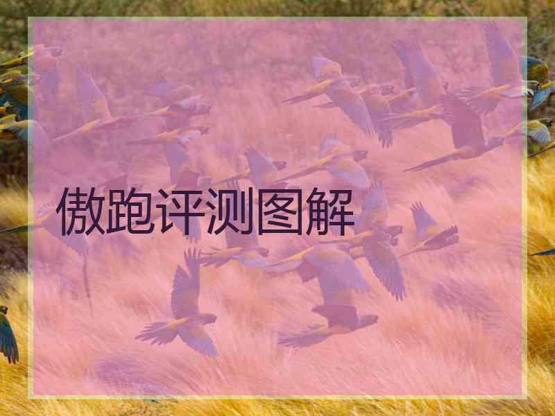 傲跑评测图解