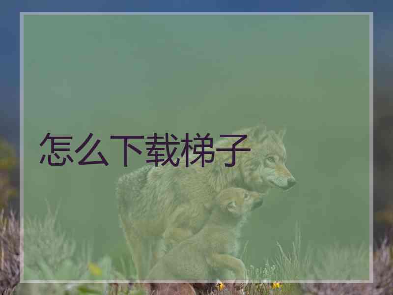 怎么下载梯子