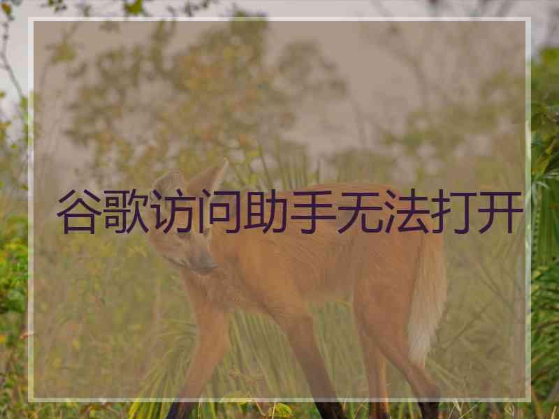 谷歌访问助手无法打开