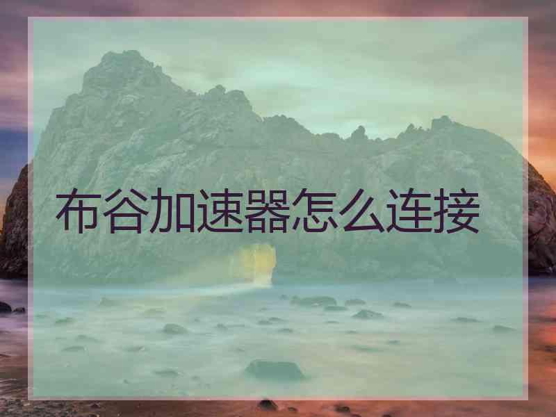 布谷加速器怎么连接