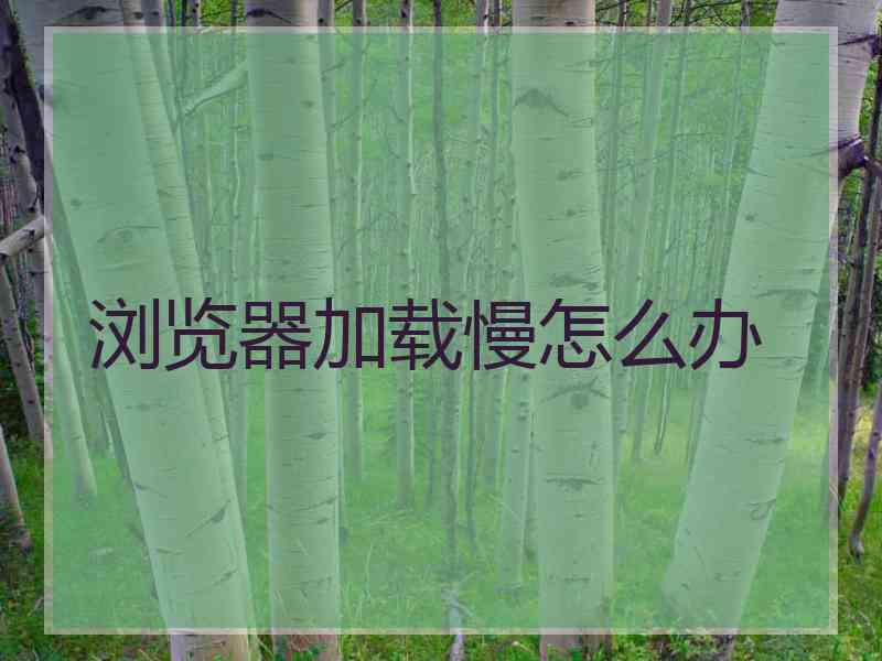 浏览器加载慢怎么办