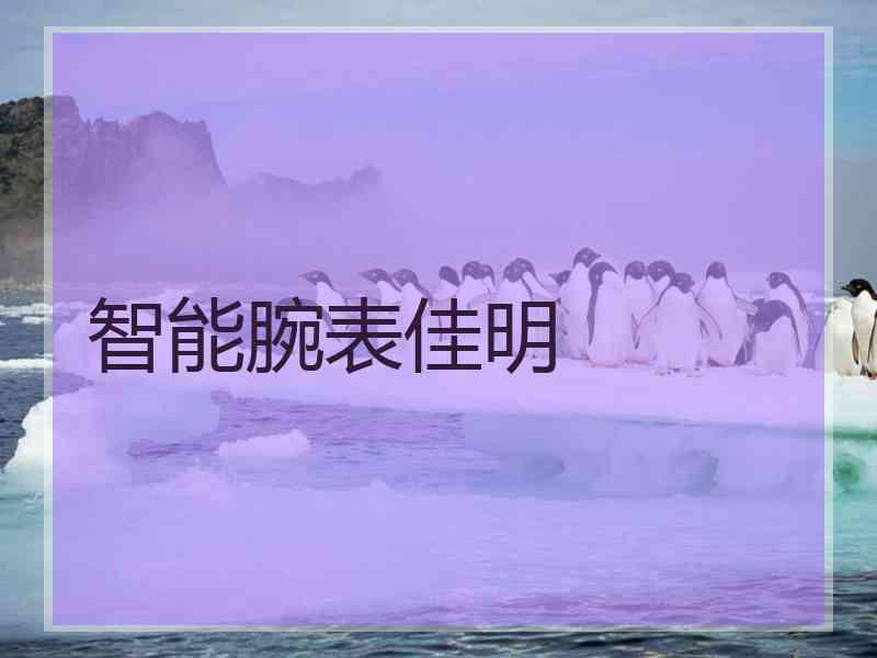智能腕表佳明