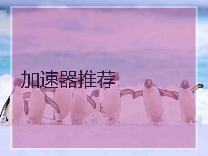加速器推荐