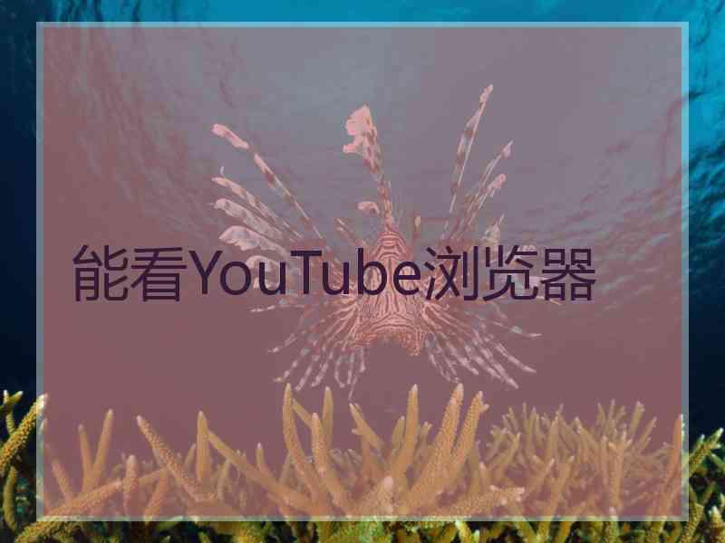 能看YouTube浏览器
