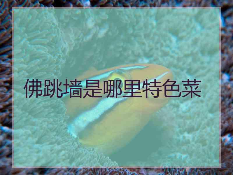 佛跳墙是哪里特色菜