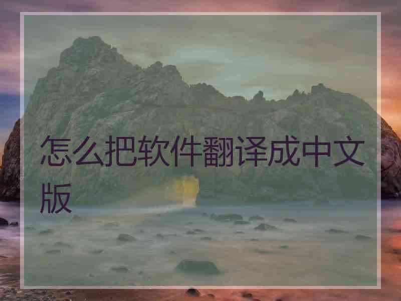 怎么把软件翻译成中文版