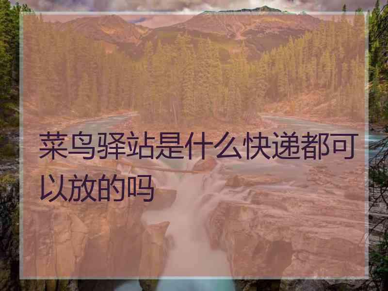 菜鸟驿站是什么快递都可以放的吗