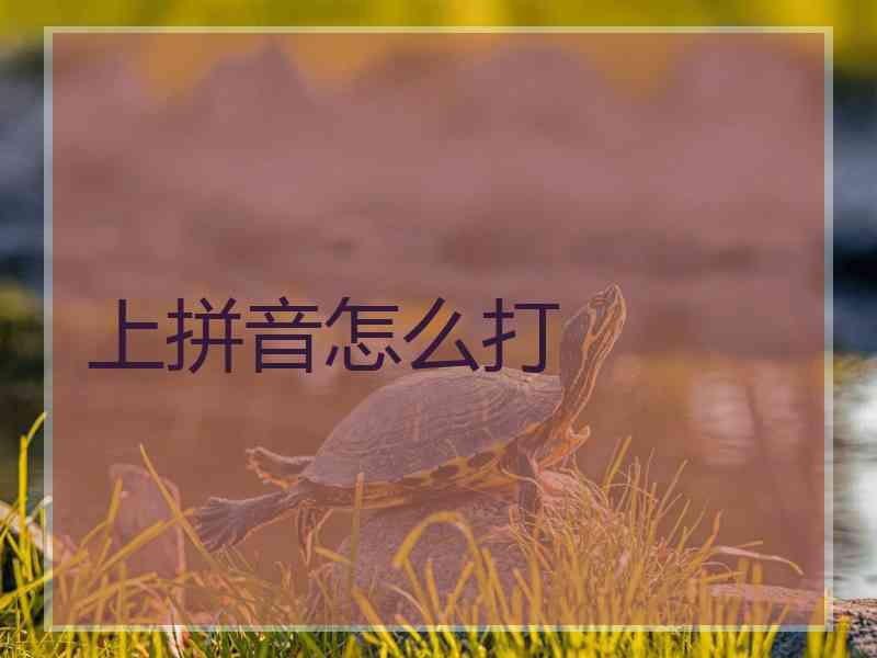 上拼音怎么打