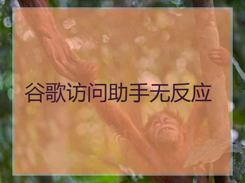 谷歌访问助手无反应