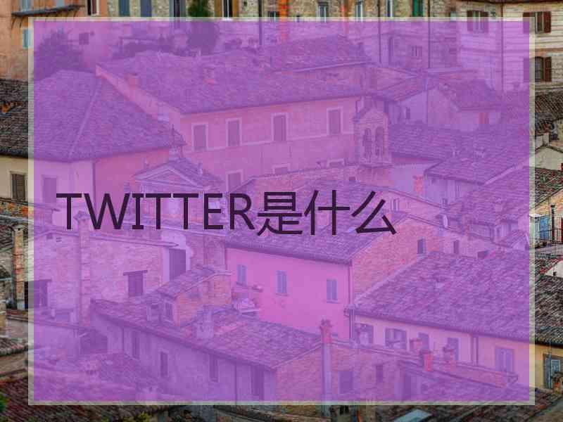 TWITTER是什么