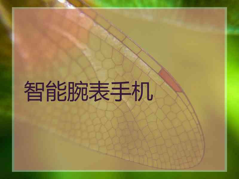 智能腕表手机