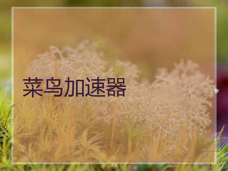 菜鸟加速器