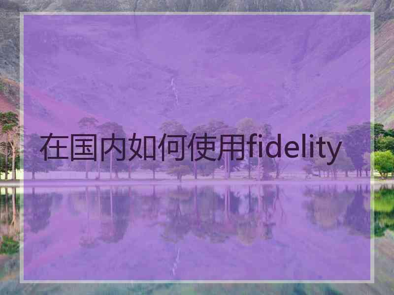在国内如何使用fidelity